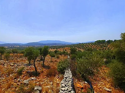 AYDIN Didim Satılık Arsa - Fotoğraf 2