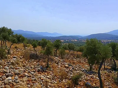 AYDIN Didim Satılık Arsa - Fotoğraf 3