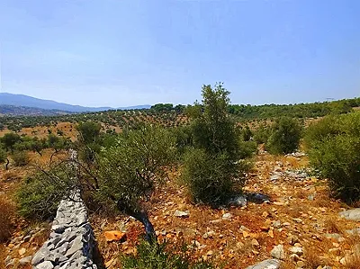 AYDIN Didim Satılık Arsa - Fotoğraf 5