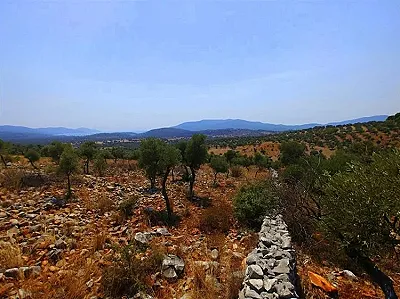 AYDIN Didim Satılık Arsa - Fotoğraf 7