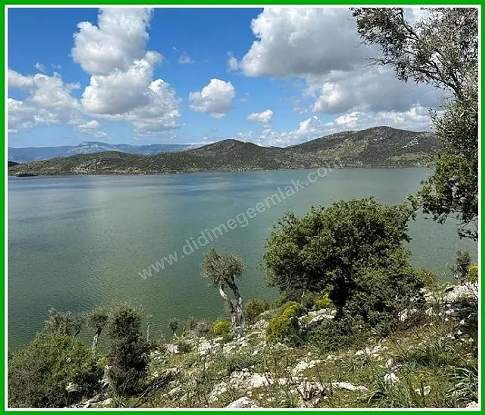 Bafa Gölü Doğa Manzaralı Zeytinlik - Satılık 3.685 m² | EgeE