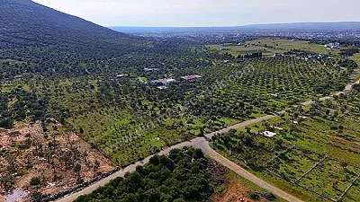 AYDIN Didim Akyeniköy Satılık Arsa - Fotoğraf 6