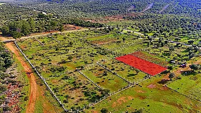 AYDIN Didim Akyeniköy Satılık Arsa - Fotoğraf 8