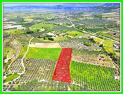 AYDIN Didim Akköy Satılık 2+1 Arsa - Fotoğraf 1